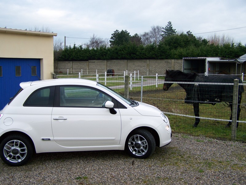 ma 500 et le cheval d' ct